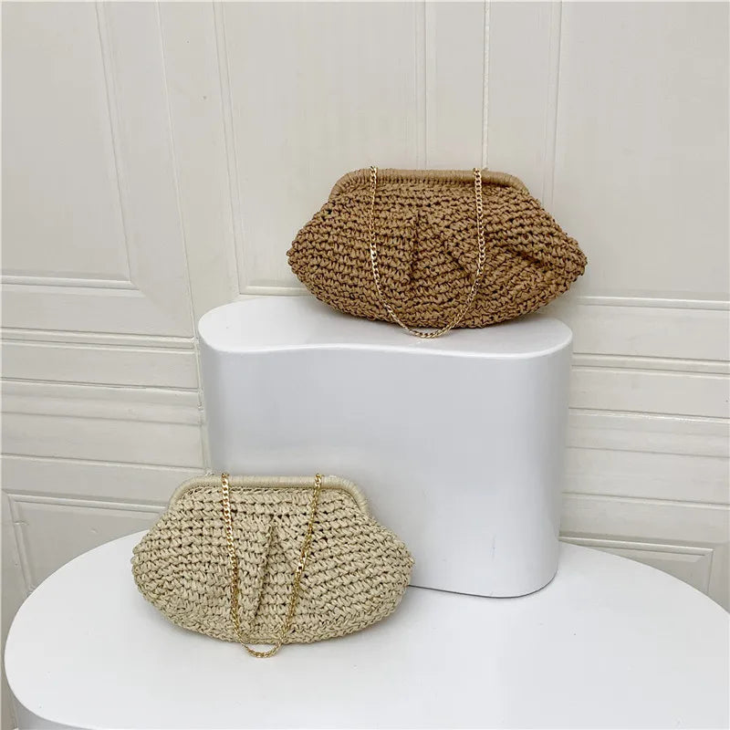 Straw Dumpling Clutch Bag Woven Straw Tote Clutch Purse For Women Summer Beach Bag Wicker Clutch Straw Purses For Women