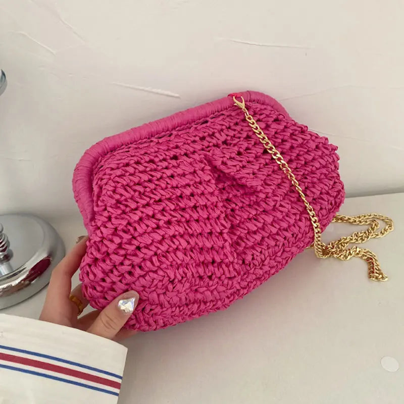 Straw Dumpling Clutch Bag Woven Straw Tote Clutch Purse For Women Summer Beach Bag Wicker Clutch Straw Purses For Women