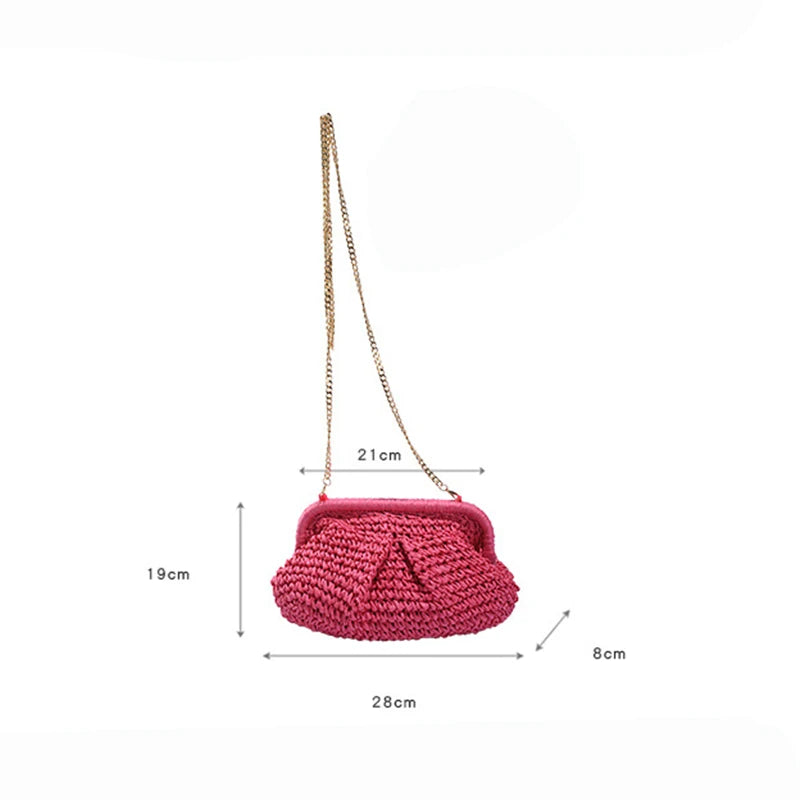 Straw Dumpling Clutch Bag Woven Straw Tote Clutch Purse For Women Summer Beach Bag Wicker Clutch Straw Purses For Women